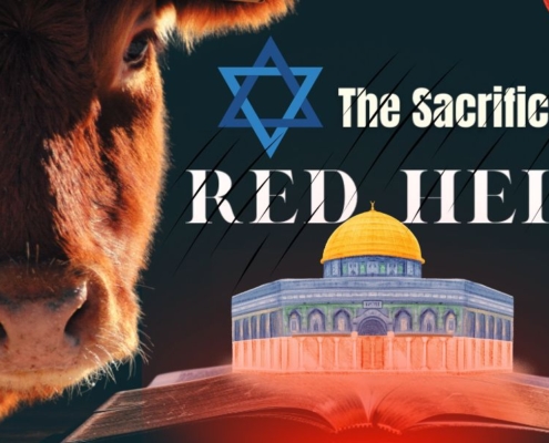 sacrifice of the red heifer