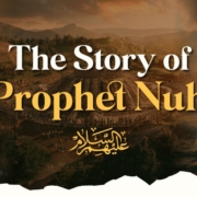 Prophet Noah